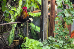 20230105-1836_IMG_2293