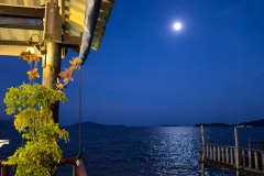 20230105-1846_IMG_2294