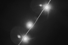 20230105-1938_IMG_2306