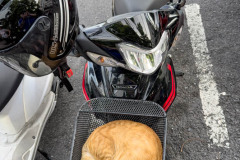 20230109-1652_IMG_2524