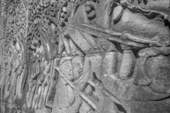 20221221-1053_IMG_0799