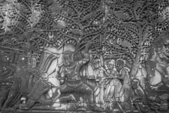 20221221-1054_IMG_0800