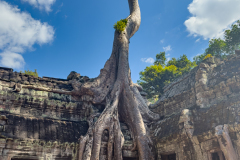 20221221-1309_IMG_0856