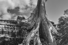 20221221-1311_IMG_0860