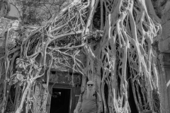 20221221-1320_IMG_0872