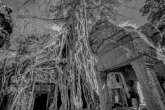 20221221-1321_IMG_0877