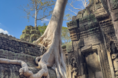 20221221-1327_IMG_0883