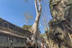 20221221-1328_IMG_0884