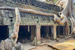 20221221-1328_IMG_0885