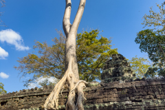 20221221-1329_IMG_0887