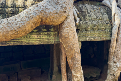 20221221-1330_IMG_0888