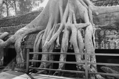 20221221-1331_IMG_0889