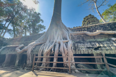 20221221-1331_IMG_0890