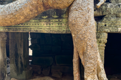 20221221-1331_IMG_0892