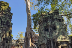 20221221-1334_IMG_0895