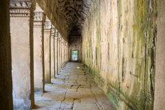 20221221-1336_IMG_0898