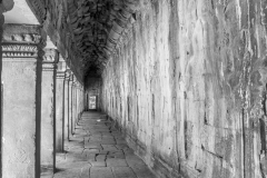 20221221-1336_IMG_0899