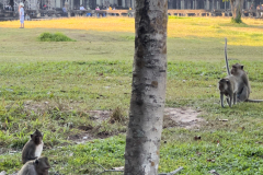 20221221-1645_IMG_0981