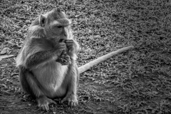 20221221-1646_IMG_0984