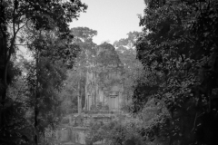 20221221-1801_IMG_1054