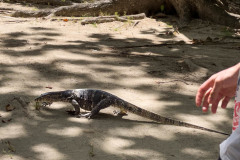 20230108-1226_IMG_2464