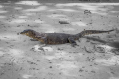 20230108-1242_IMG_2465