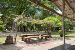 20230108-1257_IMG_2469