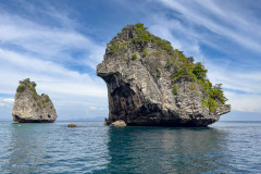 20230108-1509_IMG_2491