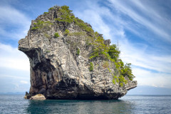 20230108-1509_IMG_2492