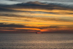 20230108-1821_IMG_2505