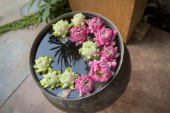 20221219-1654_IMG_0527