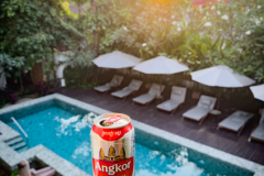 20221219-1724_IMG_0533