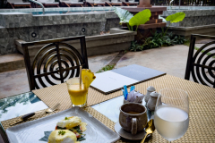 20221220-0728_IMG_0540