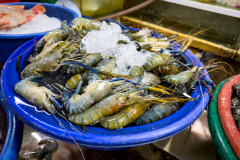 20221220-1313_IMG_0572