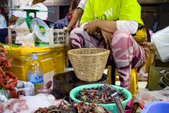 20221220-1313_IMG_0574