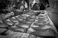 20221220-1313_IMG_0575