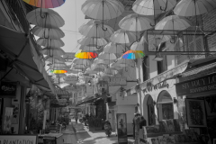 20221220-1359_IMG_0587