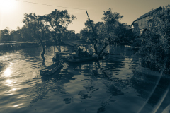 20221220-1636_IMG_0653