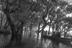 20221220-1654_IMG_0660