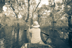 20221220-1655_IMG_0662