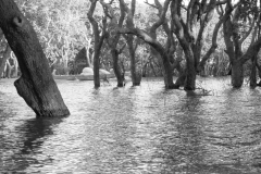 20221220-1659_IMG_0665