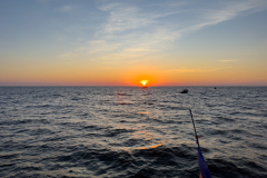 20221220-1737_IMG_0696