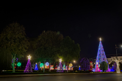 20221223-0503_IMG_1073