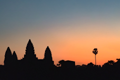 20221223-0556_IMG_1100