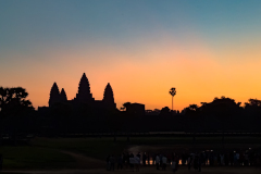 20221223-0559_IMG_1111