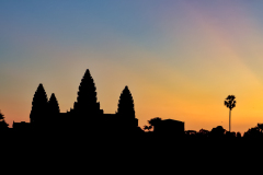 20221223-0604_Snapseed-5