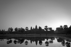 20221223-0609_IMG_1146