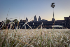 20221223-0619_IMG_1180