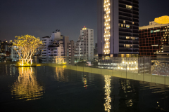 20221225-1834_IMG_1422