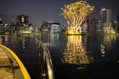 20221225-1835_IMG_1423